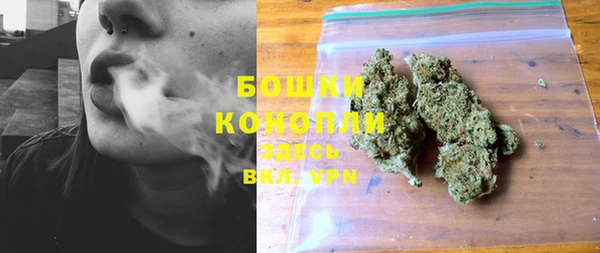 дживик Дмитровск