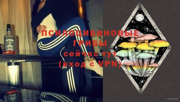 дживик Дмитровск
