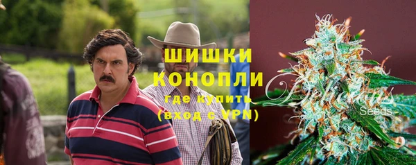 дживик Дмитровск