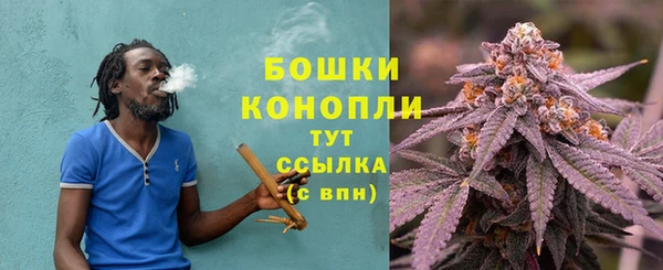 ALPHA PVP Дмитриев